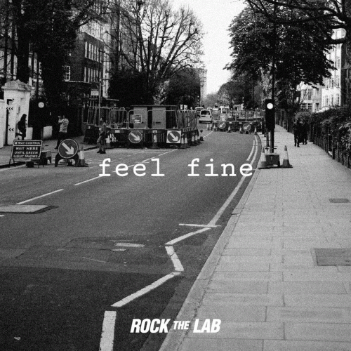 Rock The Lab : Feel Fine